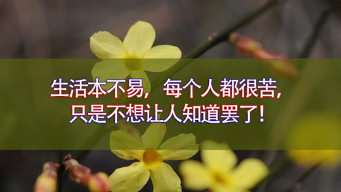 生活本不易,每个人都很苦,只是不想让人知道罢了!