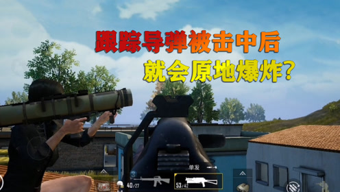 和平精英揭秘真相:子弹击中跟踪导弹后,跟踪导弹就会原地爆炸?