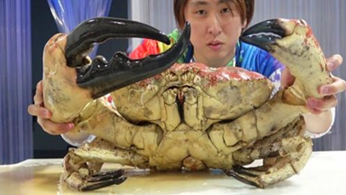 全世界最重的螃蟹,小哥花2万块吃了一只,直呼一点都不亏血赚!