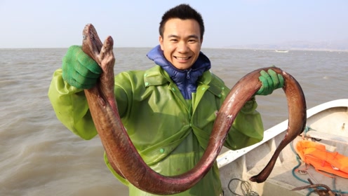 阿烽抓了条红巨鳗快2米长,卖一千多发财了,阔气的给阿鑫分几百