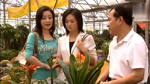 王小理心慌,意料之外收到范子庆电话,花市巧遇他!