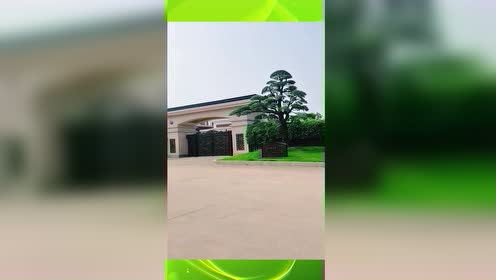 玻璃大王曹德旺8亿豪宅松桂园,现实版的乔家大院!
