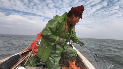 阿阳摸黑出外海,捕到的虾母不是一般的大,一条竟有二十多公分长