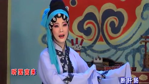 潮剧选段《包拯无颜见良民》演唱:蔡映娜 黄泽雄