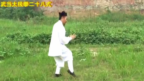 武当二十八式太极拳-演练:钟云龙道长