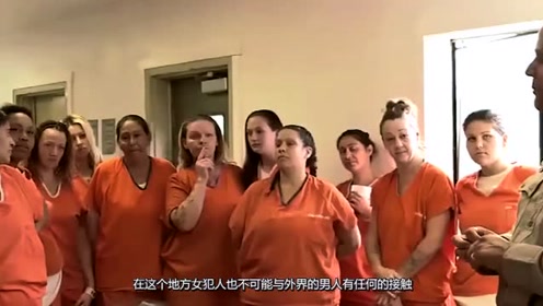 国外监狱神秘奇闻,女子监狱每年100多人怀孕,原因让人想笑