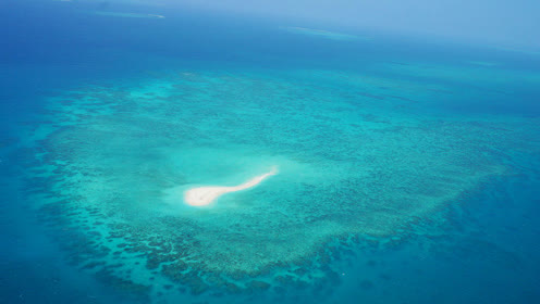 航拍澳大利亚凯恩斯大堡礁 用纯净的蔚蓝海水洗洗眼吧