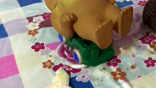 熊大熊二之受伤，小猫咪前来帮忙！