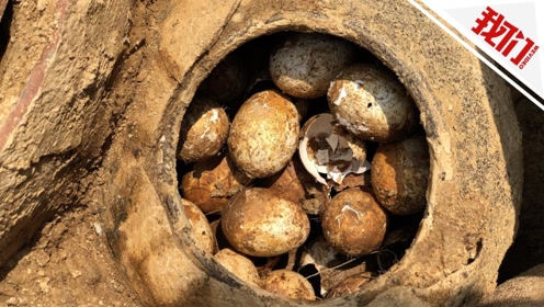 江苏溧阳：2500多年墓葬里挖出一罐鸡蛋 大部分完好无损