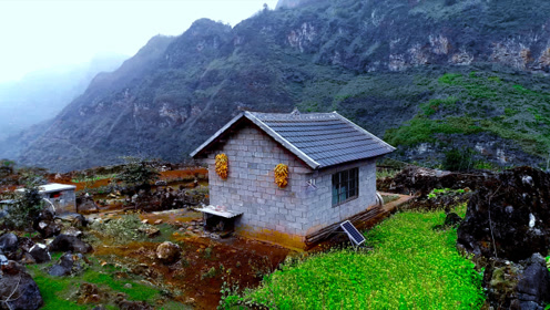 贵州一户人家在山里修了个房子,养了几箱蜂,过着与世无争的生活