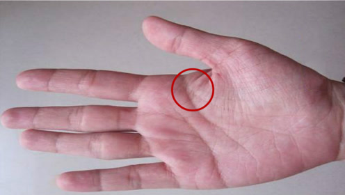 女人手相事业线分叉好不好,波折多吗?这3种事业运极好!