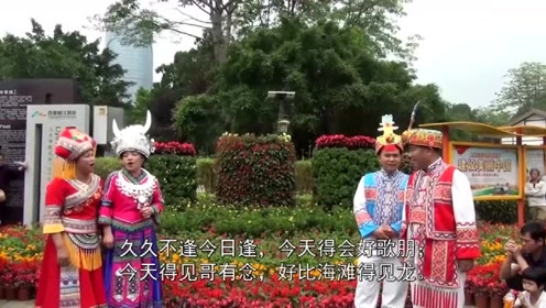 广西山歌王山歌:歌王齐聚鱼峰山搞笑对歌,观众都笑翻了