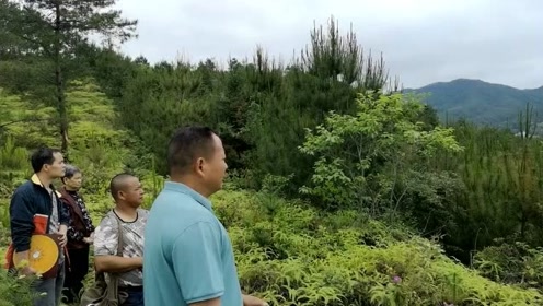 出一品大臣的风水宝地,横龙结穴两重枕山,张少波考察风水系列