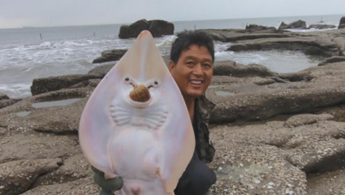 阿阳卷大坑抓到凶猛海货,连海螺都想吞食,引来不少赶海路人围观