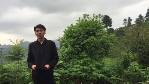 阴宅祖坟风水补龙脉,龙脉立向不理想,讲解杨公风水补龙法