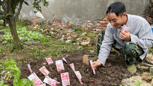 四川方言:种瓜得瓜种豆得豆,懒汉把钱种地里等着发大财,太逗了