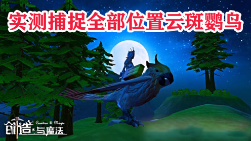 创造与魔法实测捕捉全部位置云斑鹦鸟
