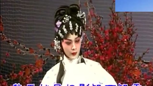 粤剧《红楼梦之木石盟心》丁凡,蒋文端演唱