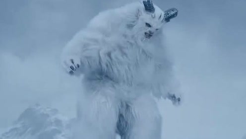 未解之谜:雪怪真的存在吗?看完你就知道了!