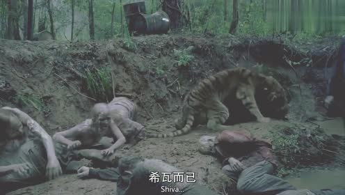 老虎希瓦为救主人大战丧尸群