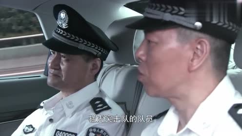 影视:猛虎突击队想行动,局长犹豫再三,最终决定让他们放手一搏