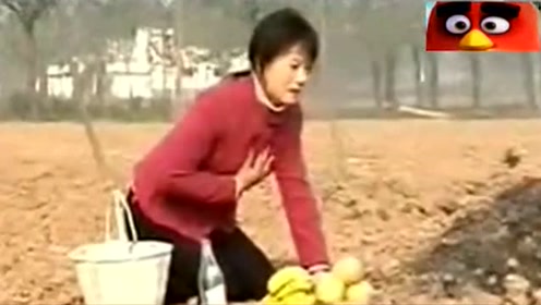 民间小调《小寡妇上坟》哭的人心酸