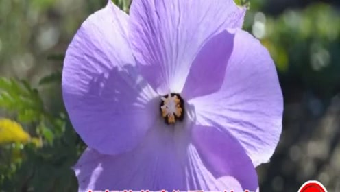 求歌名！大街上听到的这首歌，太好听了！谁知道歌名？