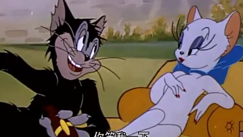 猫和老鼠:汤姆好不容易找了女朋友!不料碰到了情敌,这下好看了