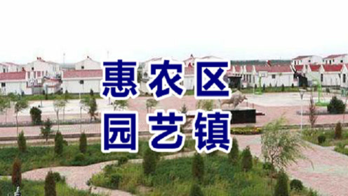宁东镇,宁夏第一镇