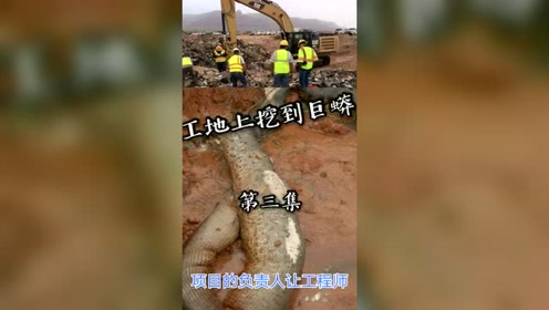 在工地上挖到巨蟒第三集