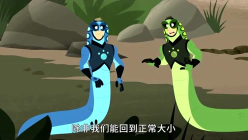 动物兄弟5:蛇不需要眼睛,它是靠舌头捕猎的!