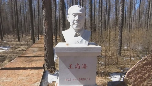 闪亮的名字——王尚海:用生命书写绿色传奇