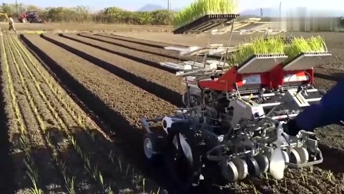 日本牛人发明的小型农业机械,超实用,国内的农民都想要一辆!