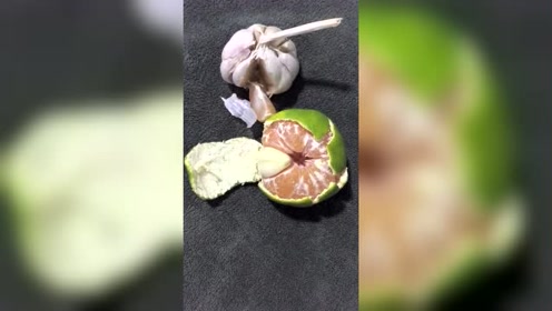 想要在这个社会生存,就要懂得融入,还要会装蒜,要不然你就是橘外人