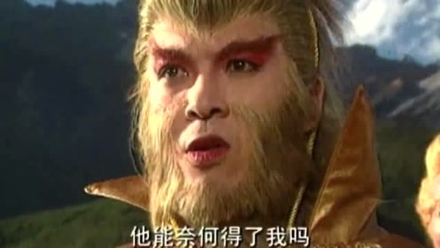通臂猿猴vs孙悟空