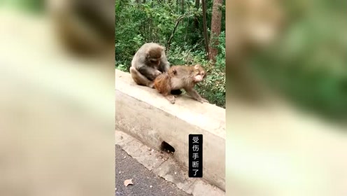 可怜的老先生一生被精神病而折磨