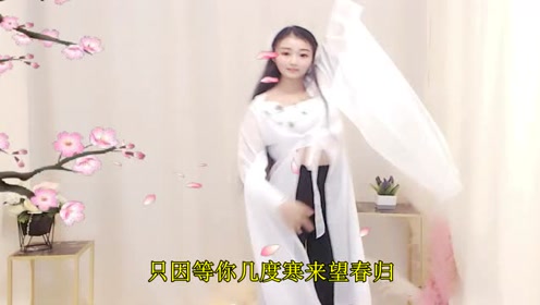 云菲菲 一首《梅花泪》太好听了,经典旋律,果断收藏!