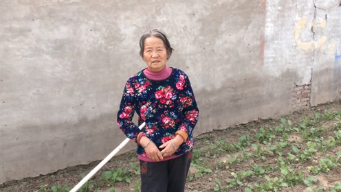 农村73岁大娘的回答真让人意外