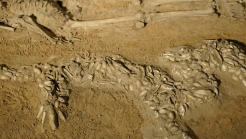 河北出土六千多年前的古墓,内刻龙虎图案,难道龙真实存在过?