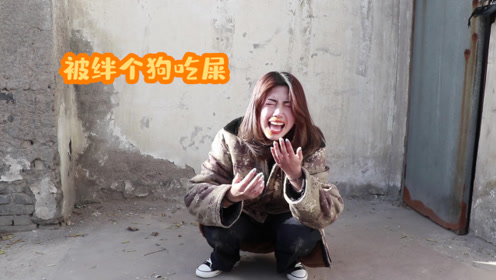 村里厕所门口放块砖头,把每个人绊个狗吃屎,太狼狈了