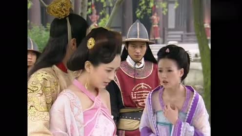 至尊红颜:笨蛋萧淑妃——最后不自量力的反击