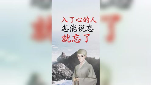 入了心的人,怎能说忘就忘