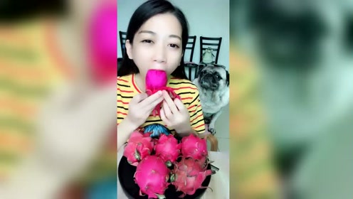 小猪猪姐吃播,小姐姐挑战火龙果一口吞,网友:搞笑无下限