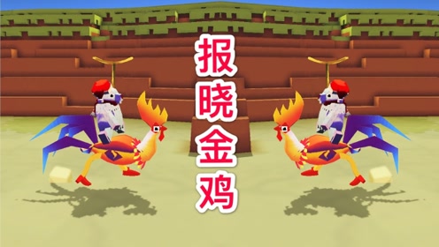 疯狂动物园:30只濒危动物之一"报晓金鸡"
