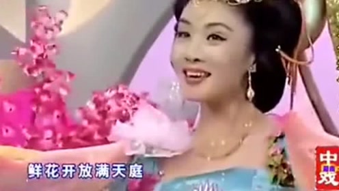 黄梅戏《天女散花》选段 韩再芬演唱