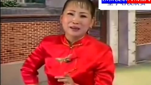 胡中花唱河南坠子《小芳哭坟》真好听