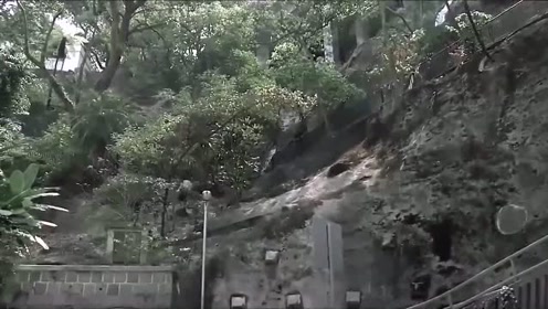 小偷凭借着一手过硬的跑酷技术，成功的从警察手里逃脱了？