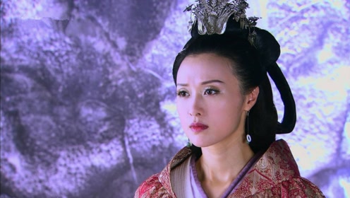丈夫谋反被杀，她被纳入后宫后生下一代帝王，后世评价很高