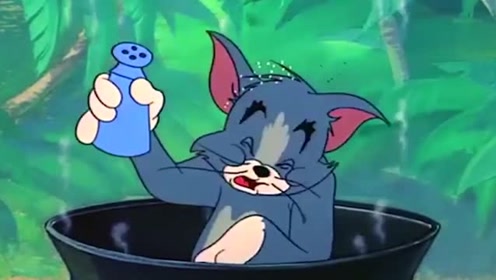 wantubizhi com