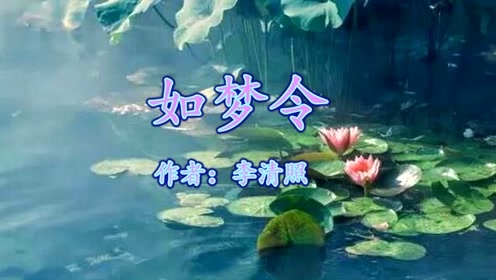 《如梦令昨夜雨疏风骤》李清照视频v视频"应是绿肥红瘦"光纤图解图片